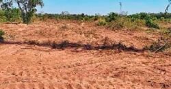 Oportunidade Única: Fazenda à Venda 2.993 Has Toda Infraestrutura | Entre Barra do Bugres e Lambari D’Oeste/ MT