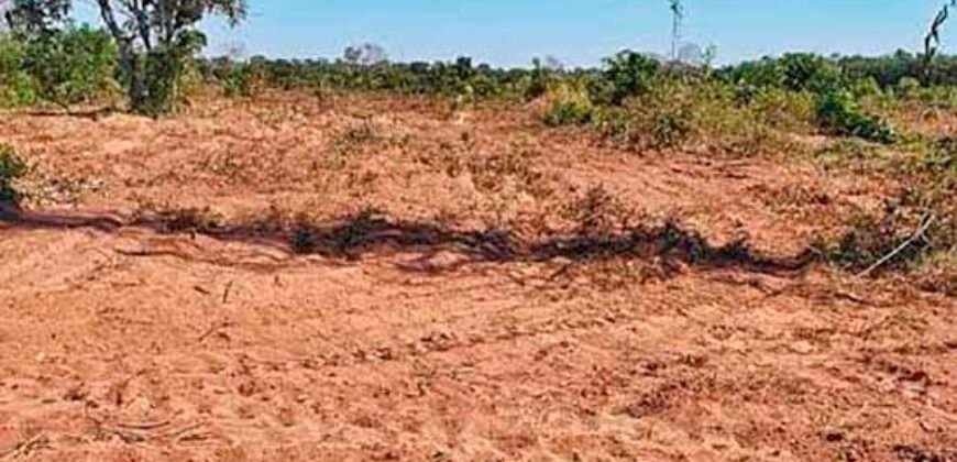 Oportunidade Única: Fazenda à Venda 2.993 Has Toda Infraestrutura | Entre Barra do Bugres e Lambari D’Oeste/ MT