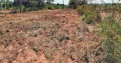 Oportunidade Única: Fazenda à Venda 2.993 Has Toda Infraestrutura | Entre Barra do Bugres e Lambari D’Oeste/ MT