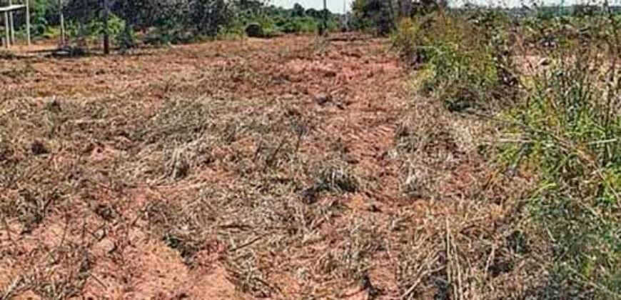 Oportunidade Única: Fazenda à Venda 2.993 Has Toda Infraestrutura | Entre Barra do Bugres e Lambari D’Oeste/ MT