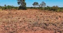 Oportunidade Única: Fazenda à Venda 2.993 Has Toda Infraestrutura | Entre Barra do Bugres e Lambari D’Oeste/ MT