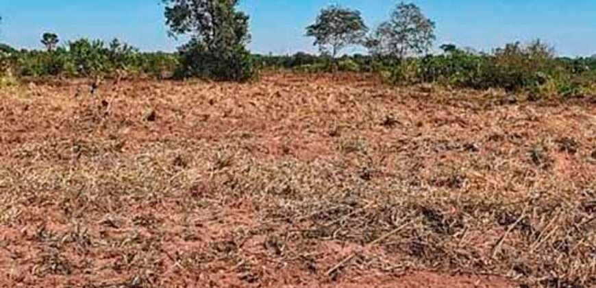 Oportunidade Única: Fazenda à Venda 2.993 Has Toda Infraestrutura | Entre Barra do Bugres e Lambari D’Oeste/ MT