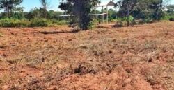 Oportunidade Única: Fazenda à Venda 2.993 Has Toda Infraestrutura | Entre Barra do Bugres e Lambari D’Oeste/ MT