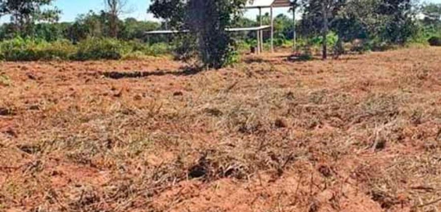 Oportunidade Única: Fazenda à Venda 2.993 Has Toda Infraestrutura | Entre Barra do Bugres e Lambari D’Oeste/ MT