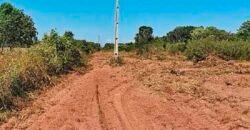 Oportunidade Única: Fazenda à Venda 2.993 Has Toda Infraestrutura | Entre Barra do Bugres e Lambari D’Oeste/ MT