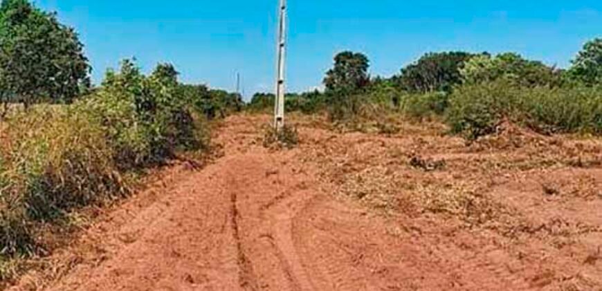 Oportunidade Única: Fazenda à Venda 2.993 Has Toda Infraestrutura | Entre Barra do Bugres e Lambari D’Oeste/ MT