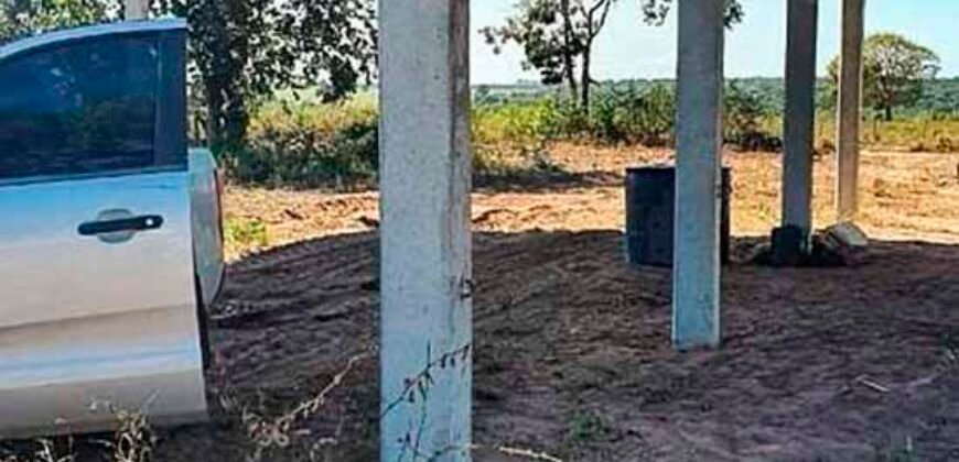 Oportunidade Única: Fazenda à Venda 2.993 Has Toda Infraestrutura | Entre Barra do Bugres e Lambari D’Oeste/ MT