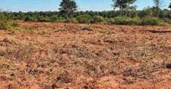 Oportunidade Única: Fazenda à Venda 2.993 Has Toda Infraestrutura | Entre Barra do Bugres e Lambari D’Oeste/ MT