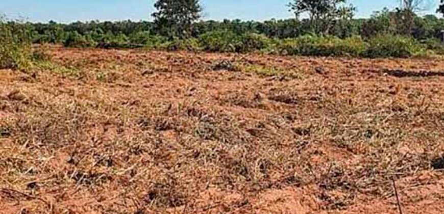 Oportunidade Única: Fazenda à Venda 2.993 Has Toda Infraestrutura | Entre Barra do Bugres e Lambari D’Oeste/ MT