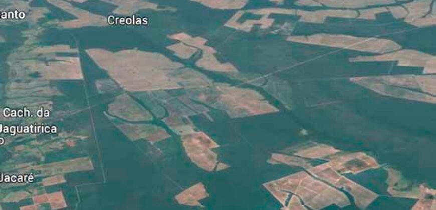 Oportunidade Única: Fazenda à Venda 2.993 Has Toda Infraestrutura | Entre Barra do Bugres e Lambari D’Oeste/ MT