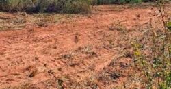 Oportunidade Única: Fazenda à Venda 2.993 Has Toda Infraestrutura | Entre Barra do Bugres e Lambari D’Oeste/ MT