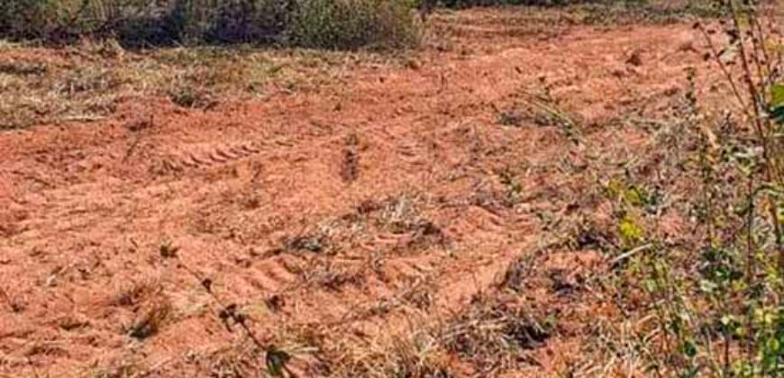 Oportunidade Única: Fazenda à Venda 2.993 Has Toda Infraestrutura | Entre Barra do Bugres e Lambari D’Oeste/ MT