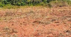 Oportunidade Única: Fazenda à Venda 2.993 Has Toda Infraestrutura | Entre Barra do Bugres e Lambari D’Oeste/ MT