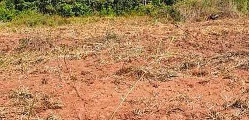 Oportunidade Única: Fazenda à Venda 2.993 Has Toda Infraestrutura | Entre Barra do Bugres e Lambari D’Oeste/ MT