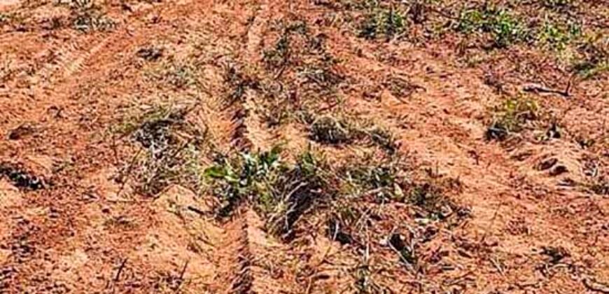 Oportunidade Única: Fazenda à Venda 2.993 Has Toda Infraestrutura | Entre Barra do Bugres e Lambari D’Oeste/ MT