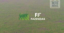 Mega Fazenda à Venda 413 Alqueires Infraestrutura Completa Agronegócio | Araguaína/ TO Mega Fazenda à Venda 413 Alqueires Infraestrutura Completa Agronegócio | Araguaína/ TO