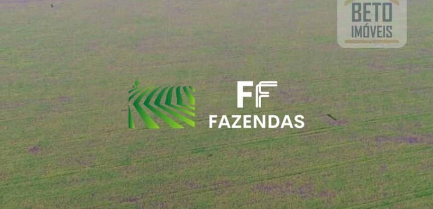 Mega Fazenda à Venda 413 Alqueires Infraestrutura Completa Agronegócio | Araguaína/ TO Mega Fazenda à Venda 413 Alqueires Infraestrutura Completa Agronegócio | Araguaína/ TO
