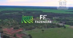 Mega Fazenda à Venda 413 Alqueires Infraestrutura Completa Agronegócio | Araguaína/ TO Mega Fazenda à Venda 413 Alqueires Infraestrutura Completa Agronegócio | Araguaína/ TO