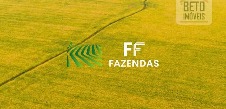 Mega Fazenda à Venda 413 Alqueires Infraestrutura Completa Agronegócio | Araguaína/ TO Mega Fazenda à Venda 413 Alqueires Infraestrutura Completa Agronegócio | Araguaína/ TO