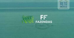 Mega Fazenda à Venda 413 Alqueires Infraestrutura Completa Agronegócio | Araguaína/ TO Mega Fazenda à Venda 413 Alqueires Infraestrutura Completa Agronegócio | Araguaína/ TO