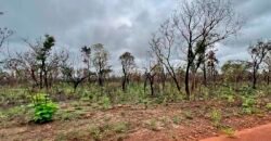 Venda de Fazenda Dupla Aptidão (pecuária e agricultura) Ótimo Negócio | Próximo à Balsas/MA