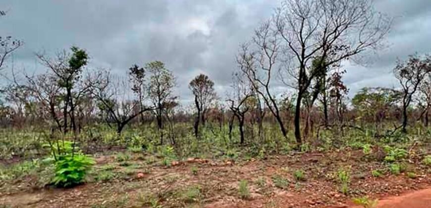 Venda de Fazenda Dupla Aptidão (pecuária e agricultura) Ótimo Negócio | Próximo à Balsas/MA