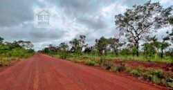 Venda de Fazenda Dupla Aptidão (pecuária e agricultura) Ótimo Negócio | Próximo à Balsas/MA