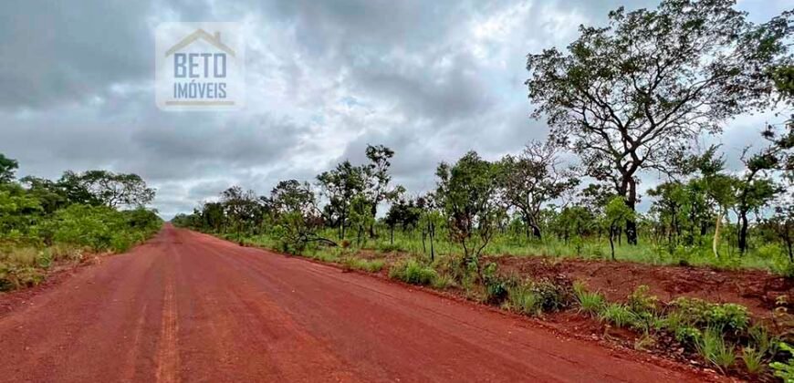 Venda de Fazenda Dupla Aptidão (pecuária e agricultura) Ótimo Negócio | Próximo à Balsas/MA