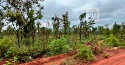 Venda de Fazenda Dupla Aptidão (pecuária e agricultura) Ótimo Negócio | Próximo à Balsas/MA