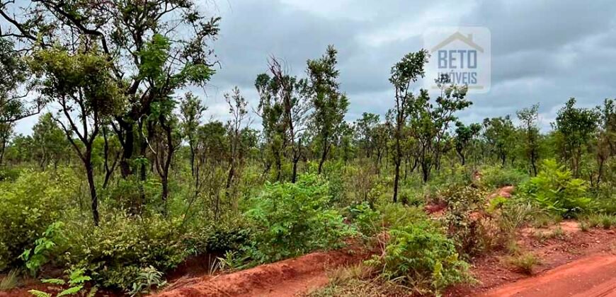 Venda de Fazenda Dupla Aptidão (pecuária e agricultura) Ótimo Negócio | Próximo à Balsas/MA