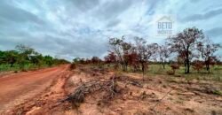 Venda de Fazenda Dupla Aptidão (pecuária e agricultura) Ótimo Negócio | Próximo à Balsas/MA