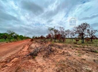 Venda de Fazenda Dupla Aptidão (pecuária e agricultura) Ótimo Negócio | Próximo à Balsas/MA