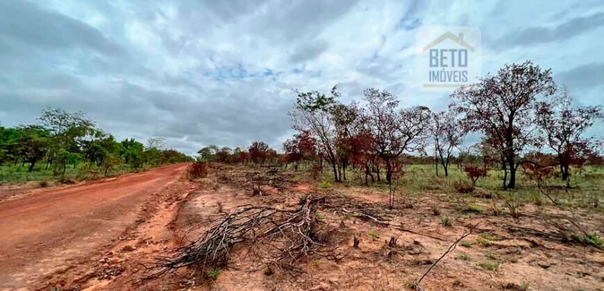 Venda de Fazenda Dupla Aptidão (pecuária e agricultura) Ótimo Negócio | Próximo à Balsas/MA