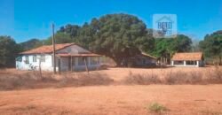 Excelente Fazenda 3.666 Has Toda Infraestrutura e Pista de Pouso | João Pinheiro/ MG