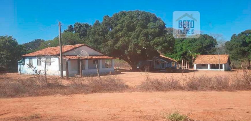 Excelente Fazenda 3.666 Has Toda Infraestrutura e Pista de Pouso | João Pinheiro/ MG