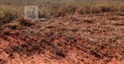 Excelente Fazenda 3.666 Has Toda Infraestrutura e Pista de Pouso | João Pinheiro/ MG