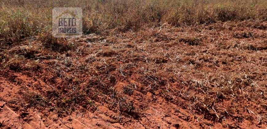 Excelente Fazenda 3.666 Has Toda Infraestrutura e Pista de Pouso | João Pinheiro/ MG