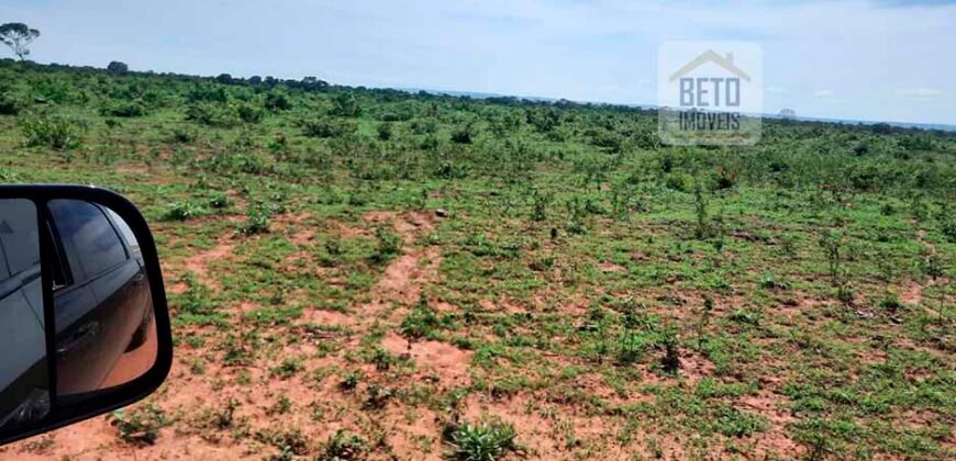 Excelente Fazenda 3.666 Has Toda Infraestrutura e Pista de Pouso | João Pinheiro/ MG