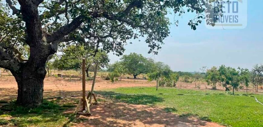 Excelente Fazenda à Venda 681 Alqueires Casa Sede e Pista de Pouso | Pintópolis/ MG Excelente Fazenda à Venda 681 Alqueires Casa Sede e Pista de Pouso | Pintópolis/ MG