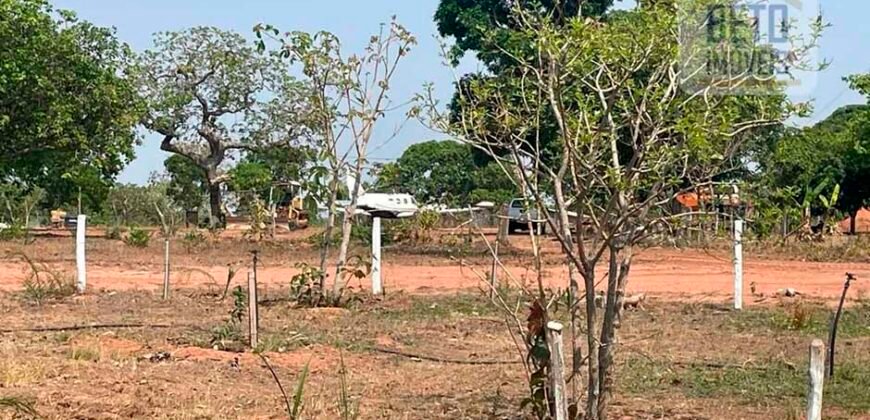 Excelente Fazenda à Venda 681 Alqueires Casa Sede e Pista de Pouso | Pintópolis/ MG Excelente Fazenda à Venda 681 Alqueires Casa Sede e Pista de Pouso | Pintópolis/ MG