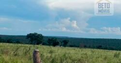 Excelente Fazenda à Venda 681 Alqueires Casa Sede e Pista de Pouso | Pintópolis/ MG Excelente Fazenda à Venda 681 Alqueires Casa Sede e Pista de Pouso | Pintópolis/ MG