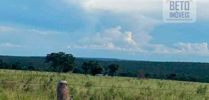 Excelente Fazenda à Venda 681 Alqueires Casa Sede e Pista de Pouso | Pintópolis/ MG Excelente Fazenda à Venda 681 Alqueires Casa Sede e Pista de Pouso | Pintópolis/ MG