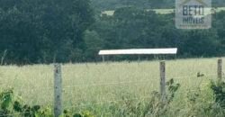 Excelente Fazenda à Venda 681 Alqueires Casa Sede e Pista de Pouso | Pintópolis/ MG Excelente Fazenda à Venda 681 Alqueires Casa Sede e Pista de Pouso | Pintópolis/ MG