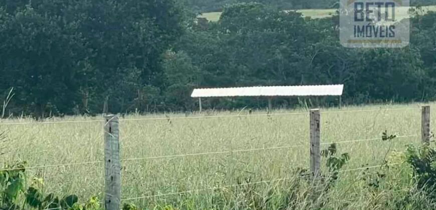 Excelente Fazenda à Venda 681 Alqueires Casa Sede e Pista de Pouso | Pintópolis/ MG Excelente Fazenda à Venda 681 Alqueires Casa Sede e Pista de Pouso | Pintópolis/ MG