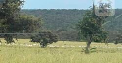 Excelente Fazenda à Venda 681 Alqueires Casa Sede e Pista de Pouso | Pintópolis/ MG Excelente Fazenda à Venda 681 Alqueires Casa Sede e Pista de Pouso | Pintópolis/ MG