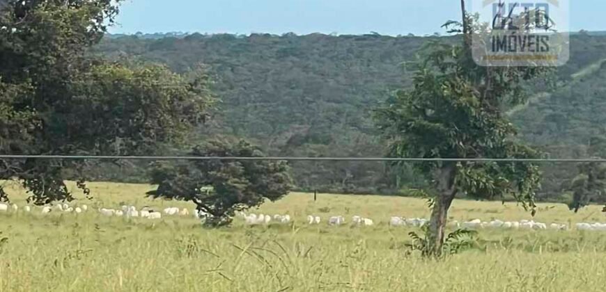 Excelente Fazenda à Venda 681 Alqueires Casa Sede e Pista de Pouso | Pintópolis/ MG Excelente Fazenda à Venda 681 Alqueires Casa Sede e Pista de Pouso | Pintópolis/ MG