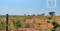 Excelente Fazenda à Venda 681 Alqueires Casa Sede e Pista de Pouso | Pintópolis/ MG Excelente Fazenda à Venda 681 Alqueires Casa Sede e Pista de Pouso | Pintópolis/ MG