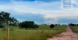 Excelente Fazenda à Venda 681 Alqueires Casa Sede e Pista de Pouso | Pintópolis/ MG Excelente Fazenda à Venda 681 Alqueires Casa Sede e Pista de Pouso | Pintópolis/ MG