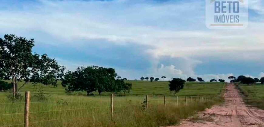 Excelente Fazenda à Venda 681 Alqueires Casa Sede e Pista de Pouso | Pintópolis/ MG Excelente Fazenda à Venda 681 Alqueires Casa Sede e Pista de Pouso | Pintópolis/ MG