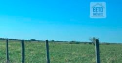 Venda de Fazenda Dupla Aptidão 50 Alqueires – Agricultura e Pecuária | Quissamã/ RJ Venda de Fazenda Dupla Aptidão 50 Alqueires – Agricultura e Pecuária | Quissamã/ RJ